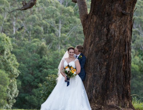 $900 Brisbane Wedding Photography | Goodwin Art and Photography